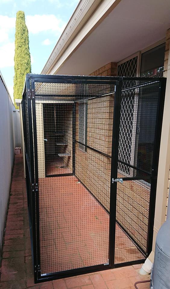 Framed Cat Enclosure In Kiara, Outdoor Cat Runs Perth